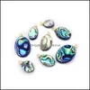 Charms High Quality Natural Colorfwork Shell Abalone Oval Pendant Ornament For Jewelry Making Diy Necklace Accessorycharms Drop Deli Otmq6
