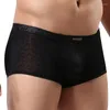 Underbyxor Herr Mesh Boxer Låg midja Ultratunn Sexig andningsbar underkläder Mens Shorts