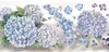 Geschenkwikkeling Vintage Hydrangea Paarse bloemenschaal Glanzende Washi Pet voor kaart maken DIY Scrapbooking Plan Decoratieve sticker