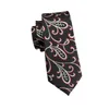 Bow Ties SN-1671 Hi-Tie Classic Black Floral Tie Set för män handgjorda silke jacquard vävda slips ficka torg manschettknappar till försäljning