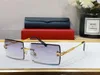 Men Vintage UV Protection Rechthoek Pro Acme Rimless zonnebril voor vrouwen frameloze brillen Designer Candy Color -bril