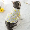 Odzież dla psów 2023 Summer Dress Girl Ubrania wydrukowana spódnica księżniczka kot