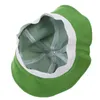 Chapéus largos da borda Moda SunHat Capfeto de sapo fofo para mulheres verão feminino para caminhada ao ar livre Caso solar de pesca verde