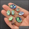 Charms High Quality Natural Colorfwork Shell Abalone Oval Pendant Ornament For Jewelry Making Diy Necklace Accessorycharms Drop Deli Otmq6