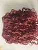 Brazilian Clip Ins Human Jungfrau Curly Hair Extensions Rot 99J Color5003443