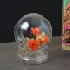Вазы 1 Set Moss Micro Landscape Ecological Glass Vase с бутылкой с крышкой JY 1206