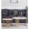 Woonkamer meubels productie fabriek Noordse licht luxe marmeren tafelblad tafelkast creatief roestvrijstalen basis salontafel deli dhhcl