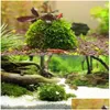 Decorations Aquarium Marimo Moss Ball Live Plants Filter For Java Shrimps Fish Tank Ornaments Drop Delivery Home Garden Pet Supplies Dhvkd