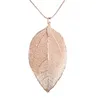 Chains Fashion Jewelry Natural Long Leaf Pendants Necklace For Women Stray Leaves Unique Sweater Pendant Female Necklaces