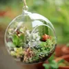 Vasen 10pcs Globusform transparentes Glas Terrarium Ball Blume Hänge Pflanzer Behälter Landschaft Ornament Gartendekoration