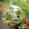 Vases 10pcs Globe Forme Transparent Verre Terrarium BOULLE Fleur Planteur Planteur Conteneur Ornement Ornement Decor de jardin