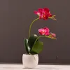 Dekorativa blommor kransar sätter hög kvalitet verklig touch fjäril orkidé bonsai artificiell phalaenopsis blomma krukväxter bröllopsfest