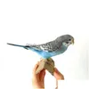 Kunst en ambachten taxidermie vullen Euraziatische papegaai specimen onderwijs / decoratie 210727 drop levering home tuin dhvmt