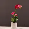 Dekorativa blommor kransar sätter hög kvalitet verklig touch fjäril orkidé bonsai artificiell phalaenopsis blomma krukväxter bröllopsfest