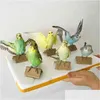 Kunst en ambachten taxidermie vullen Euraziatische papegaai specimen onderwijs / decoratie 210727 drop levering home tuin dhvmt