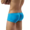 Sous-vêtements hommes Boxer Shorts sous-vêtements sexy gay pénis pochette en nylon mince taille basse respirant culotte masculine