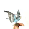 Kunst en ambachten taxidermie vullen Euraziatische papegaai specimen onderwijs / decoratie 210727 drop levering home tuin dhvmt