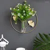 Vasen Wandbehang Glas Blumenvase Hydrokulturpflanze Eisen Geometrische Reagenzglas Metallhalter Wohnkultur