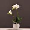 Dekorativa blommor kransar sätter hög kvalitet verklig touch fjäril orkidé bonsai artificiell phalaenopsis blomma krukväxter bröllopsfest