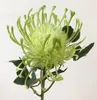 Flores decorativas 10pcs/lot simulação salsa plástico flor artificial hidrangea falsa para decoração de casamento home jardim de plantas falsas wr