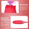 Brinquedos sexuais massageador rosa vibrador clitóris estimulação brinquedo de silicone para mulher anal dupla cabeça oral lambendo provocando feminino