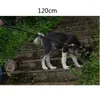 犬の襟ペットリードブラック120cmレザーストロングセーフティチェーントラクションロープペット中程度の大きな犬用品