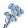 Decoratieve bloemen 2 cm hoofd voor altijd goud orbs bloem bewaarde bal natuurlijke verse Eternell Craspedia Bouquets Home Decor