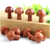 Stone 20mm Mini Mushroom Plant Staty Ornament Blue Gold Sand Carving Home Decoration Crystal Polishing Gem Drop Delivery Jewelry Dhhjr