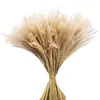 Fiori decorativi secchi Pampas Erba Canna Piante artificiali di simulazione 15 pezzi Set Vaso da pavimento alto Decorazione della casa