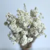 Dekoracyjne kwiaty chryzantema Mała biała suszona walentynkowa prezent dla dziewczyny ślubne elementy do dekoracji stołu