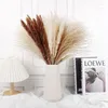 Decorative Flowers Natural Dried Pampas Grass Reed Fluffy Tails Wheat Wedding Home Boho Decor Gift Flower Arrangement