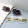 Sunglasses 2023 Rimless Rectangle Vintage Metal Leopard Head Fashion Frameless Tinted Glasses Shades For Women Men