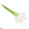 Dekorative Blumen, 5/10 Köpfe, künstliche Calla-Lilie, PU, fühlt sich echt an, Hochzeitsdekoration, gefälschte Heimpflanzen