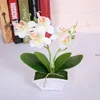 Dekorativa blommor Bonsai Potted Flower Artificial Phalaenopsis Fake Plant Table Ornament For Home Wedding Desktop Decor with Basin