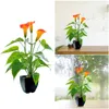 Decorative Flowers Outdoor Artificial Hanging Plants Summer Garland For Decorating Simulation Plant Bonsai Flower Calla Lily Orange