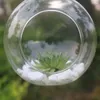 Vases Glass Ball Vase Hanging Candle Holder Candlestick Planter Plant Terrarium Container Home Wedding Decor Decoration