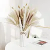 Dekoracyjne kwiaty zestaw bukietów z suszonych kwiatów aranżacje natura puszysta trawa pampasowa dekoracje ślubne ogon sztuczny Boho Home Decor