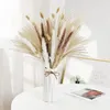 Dekorativa blommor Torkad blomsterbukett Set Arrangemang Naturen Fluffig Pampas Gräs Bröllopsdekoration Svans Konstgjord Boho Heminredning