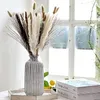 Decorative Flowers Natural Dried Pampas Grass Reed Fluffy Tails Wheat Wedding Home Boho Decor Gift Flower Arrangement