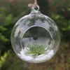 Vasen Blume Hängende Vase Glas Pflanzer Pflanze Terrarium Container Home Hochzeit Dekor Unterstützung Großhandel und Drop # P2