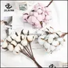 Decorative Flowers Wreaths Natural Immortal Dried Cotton Artificial Plants Floral Branch Wedding Party Decoration Fake Home 1954 D Dhrsp