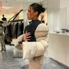 Giacche da donna Inverno Moda Streetwear Manica lunga Cerniera Calore Giacca imbottita Cappotti da donna