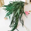 Decorative Flowers Dried Eucalyptus Millet Leaves Natural Eternell Preserved Dry Flower Wedding Supplies Floral Plant Grass Home Decoration