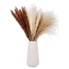 Decorative Flowers Natural Dried Pampas Grass Reed Fluffy Tails Wheat Wedding Home Boho Decor Gift Flower Arrangement