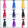 Neck Ties Fashion Women Lady Professional Uniform Female College Student Bank El Staff Woman Bowties Business Gift Drop Delivery Acce Otlfe