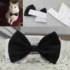 Hundkläder Justerbara husdjur Katt Fashion Bow Tie Pet Costume Collar för små hundar Grooming Supplies Tillbehör