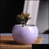Planters krukor 9 f￤rger keramiska succenter blomkruka liten boll rund vit porslin f￤rg mini kreativ droppleverans hem tr￤dg￥rd ot9vj