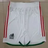 2022 Mexico voetbalshort met lange mouwen H.LOZANO CHICHARITO WORLD 22 23 CUP fans versie 2023 Camisetas de futbol heren tenue voetbalbroek uniform thuis uit