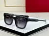 Damen-Sonnenbrille für Damen und Herren, Sonnenbrille für Herren, modischer Stil, schützt die Augen, UV400-Linse, mit zufälliger Box und Etui, 064S