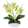 Dekorativa blommor Bonsai Potted Flower Artificial Phalaenopsis Fake Plant Table Ornament For Home Wedding Desktop Decor with Basin